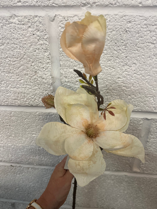 60cm vintage magnolia cream