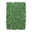Essential Box Leaf Greenwall 60 x 40cm - Green