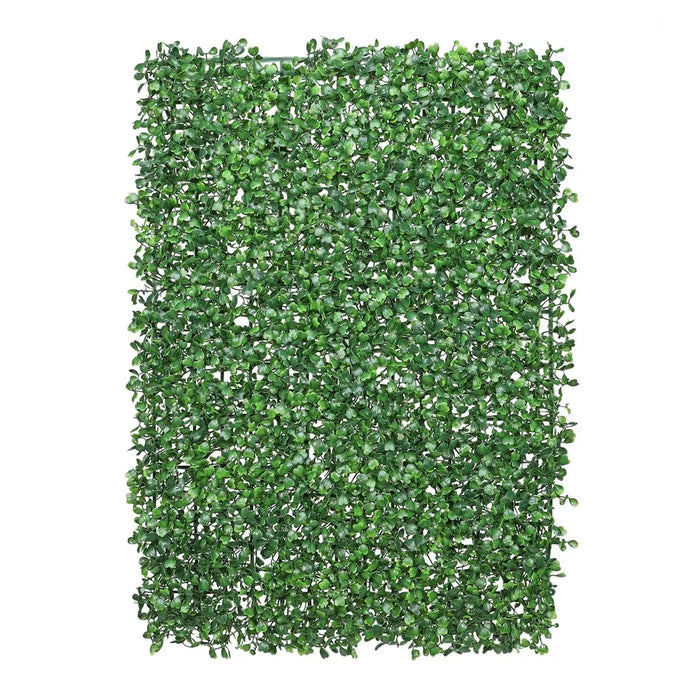 Essential Box Leaf Greenwall 60 x 40cm - Green