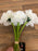 8 Head Carnation Flower Bush - Ivory