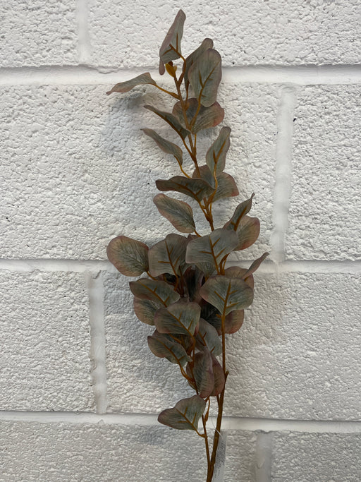 84cm eucalyptus stem green grey brown