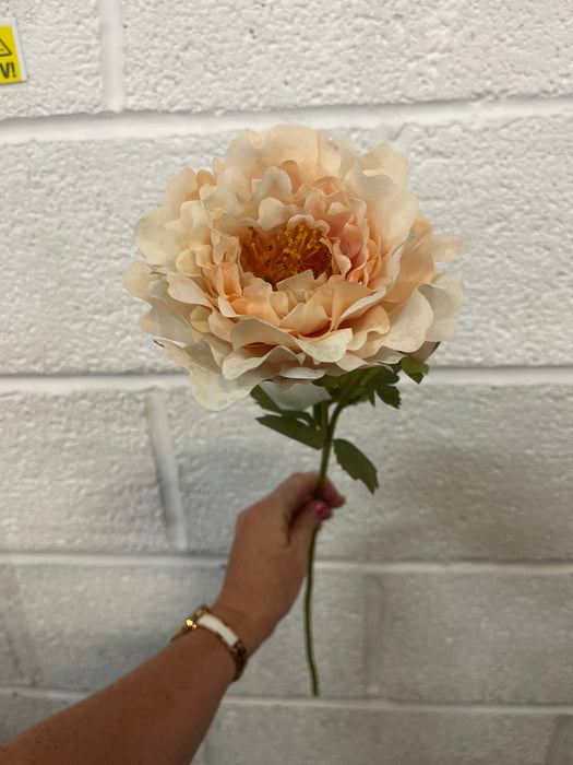 60cm dusky cream peach peony rose stem