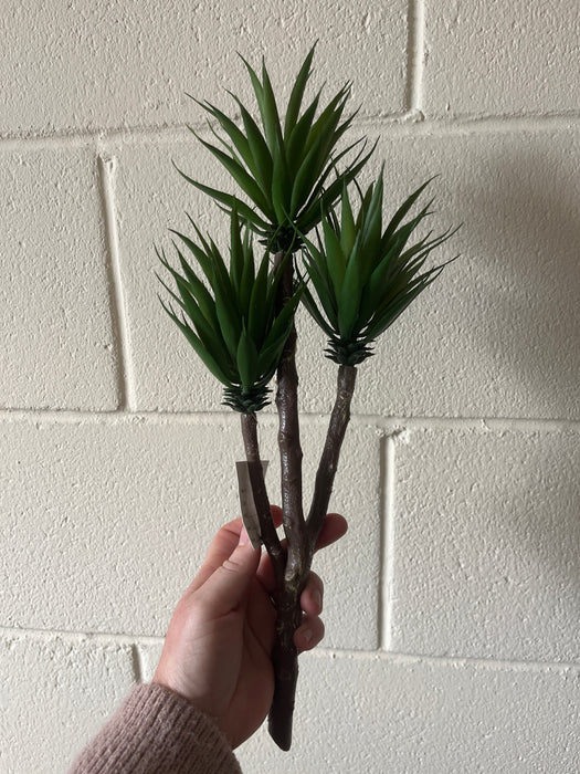 Three stem succulent