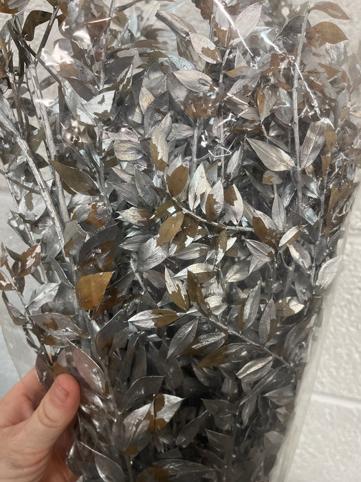 FAULTY Preserved Ruscus 70/80cm - Silver -150g