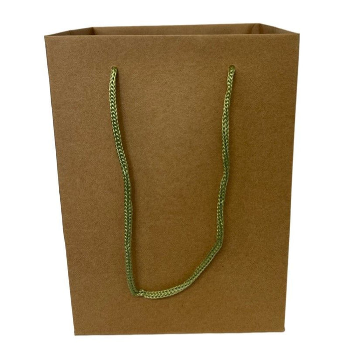 Flower Bag With Rope Handle x 10 - Kraft with Green Handles