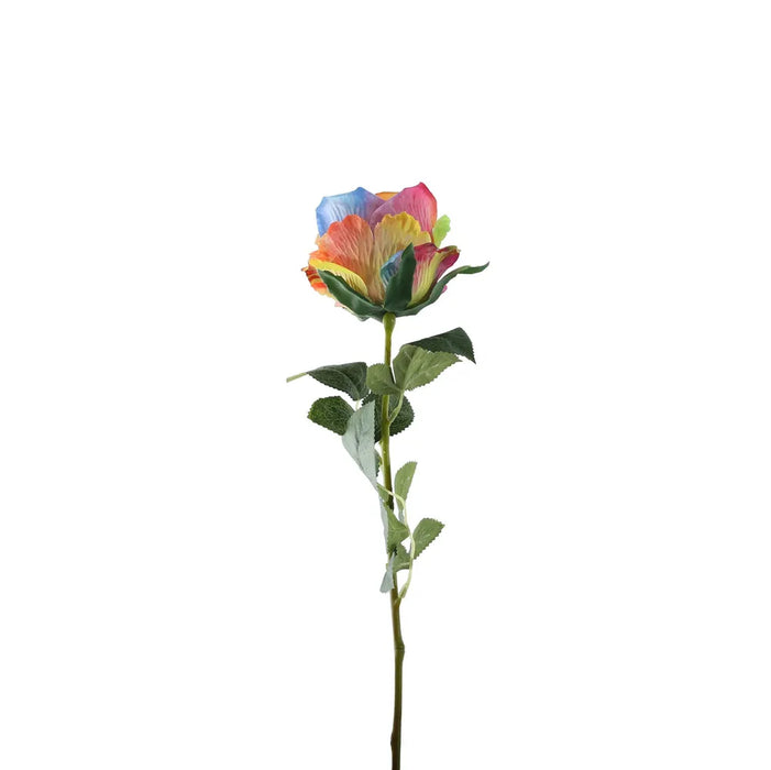 Garden Rose - Rainbow Shades - 35cm tall