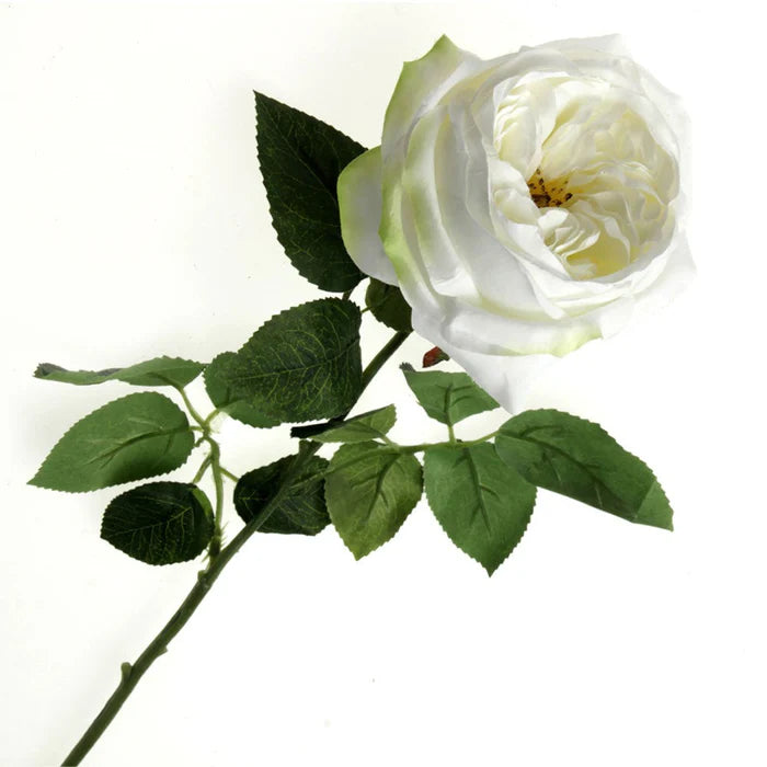 Garden Rose - White x 50cm long