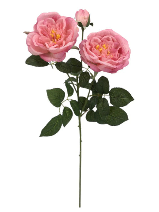 Garden Rose Spray x 59cm - Pink - 2 heads 1 bud