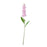 Garden Stock Flower x 25cm - Pastel Violet