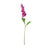 Garden Stock Flower x 25cm - Violet