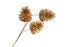 Gold Pine Cone Spray x 43cm - 3 Pinecones to a Spray