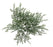 Green Pine Bush x  25cm