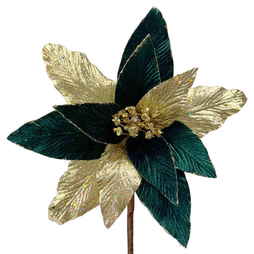 Green & Champagne Gold Poinsettia Pick x H36cm