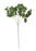 Green Holland Ivy Spray x H60cm