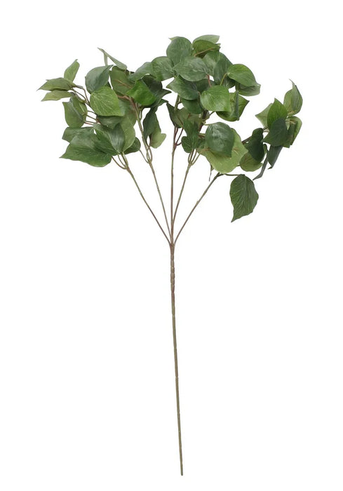 Green Holland Ivy Spray x H60cm
