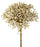 Gypsophila Bush x 32cm long - Ivory