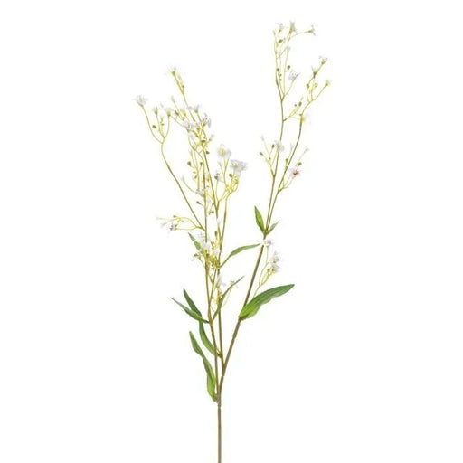 Gypsophila Spray x 76cm long - White
