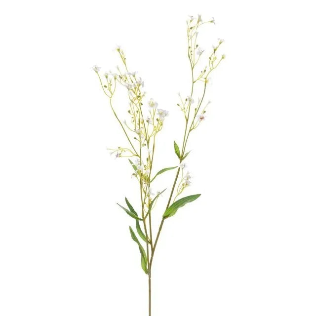 Gypsophila Spray x 76cm long - White

