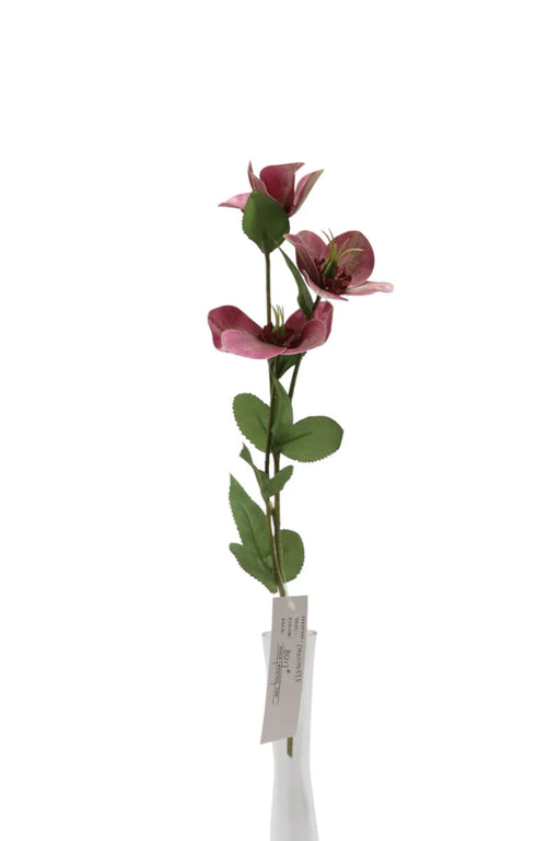 Helleborus Flower Spray - 38cm long with 3 heads - Dark Pink
