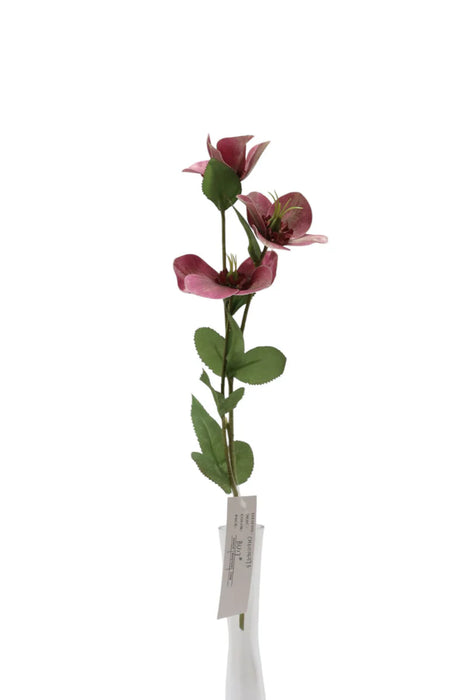 Helleborus Flower Spray - 38cm long with 3 heads - Dark Pink