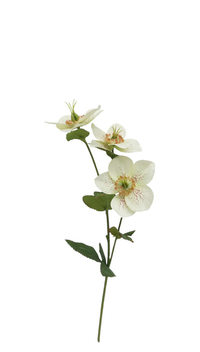Helleborus Flower Spray - 38cm long with 3 heads - Green/White