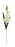 Large 7 Head Gladiolus Spray - Ivory - 90cm long
