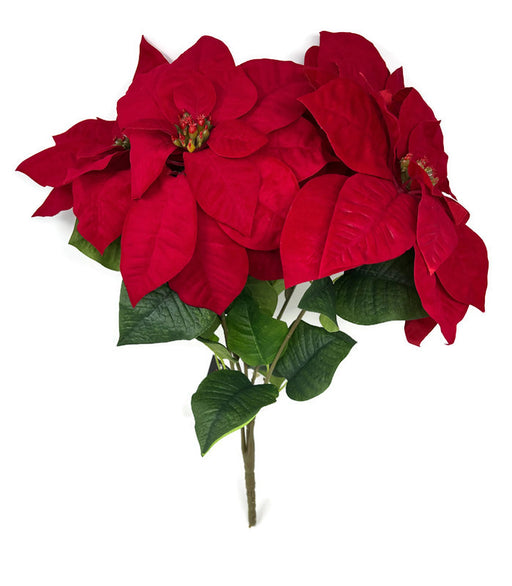 Large Velvet Touch Red Poinsettia Bush x H48cm