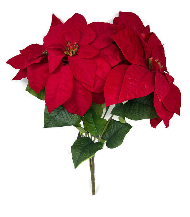 Large Velvet Touch Red Poinsettia Bush x H48cm