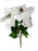 Large Velvet Touch White Poinsettia Bush x H48cm