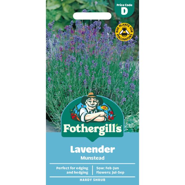 Lavender Munstead Seeds
