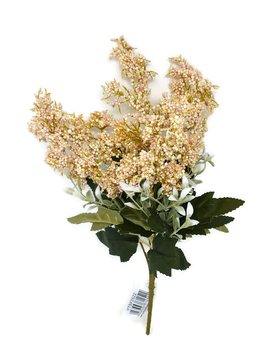 Limonium Bush x 35cm - Cream