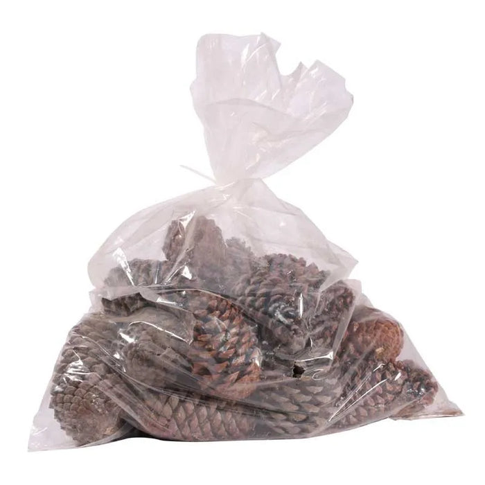 Maritima Natural Pine Cones - 10-14cm- Pack of 25