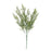 Mini Ruscus Bush - Green