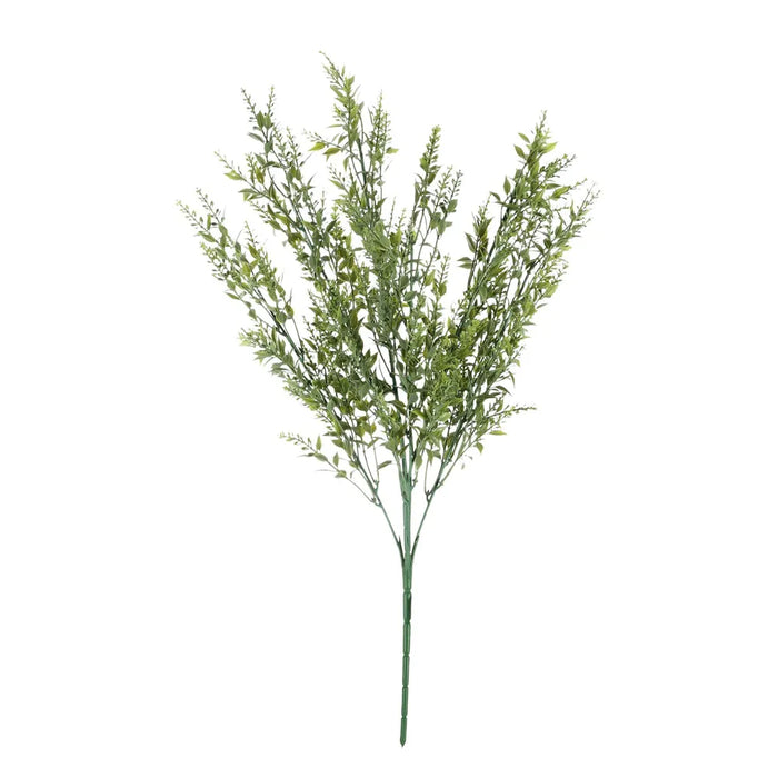 Mini Ruscus Bush - Green