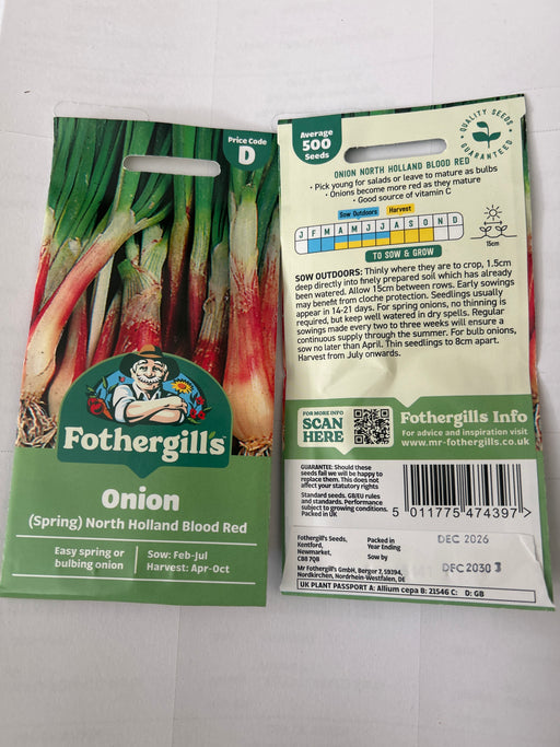 ONION (Spring) North Holland Seeds