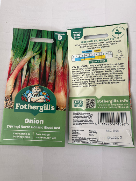 ONION (Spring) North Holland Seeds