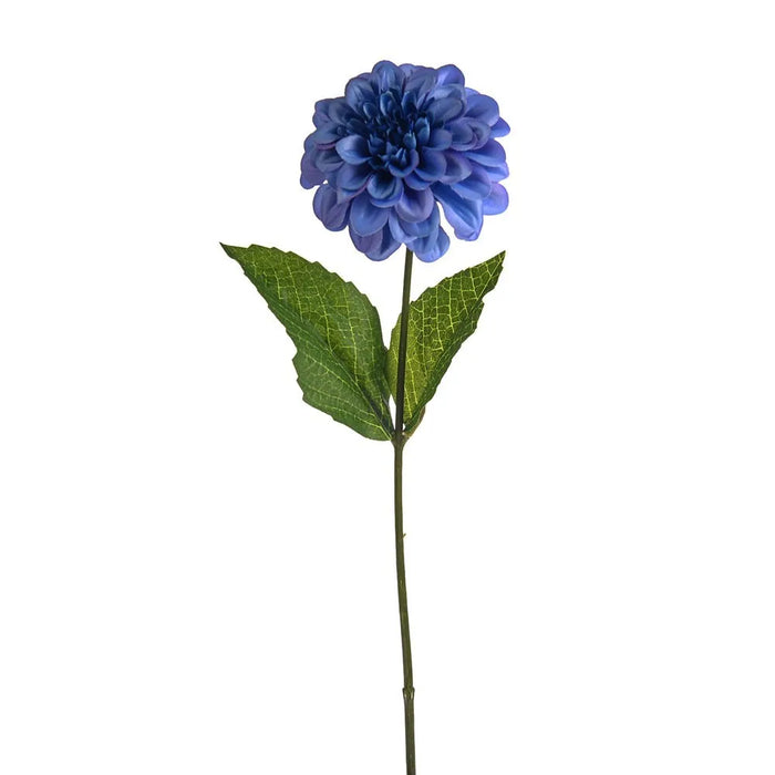 Olivia Zinnia Stem Blue  x H46cm