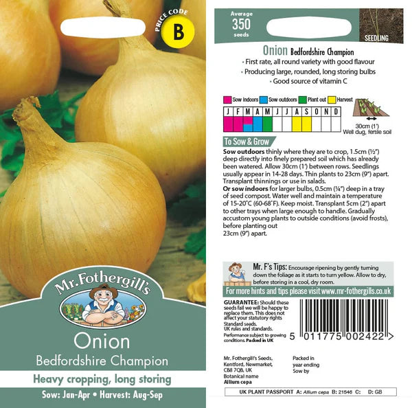ONION Bedfordshire Champ Seeds