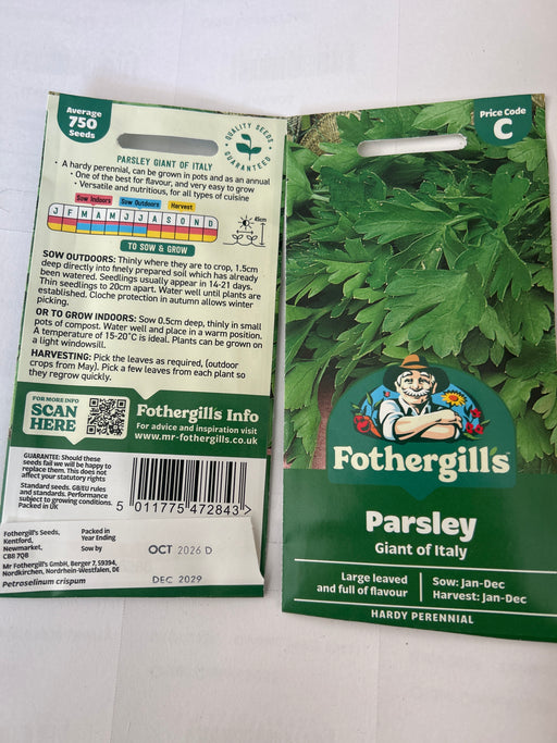 PARSLEY Giant of Italy Seeds
