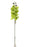 Real Touch Phalaenopsis Orchid - Green - 8 heads, 99cm long