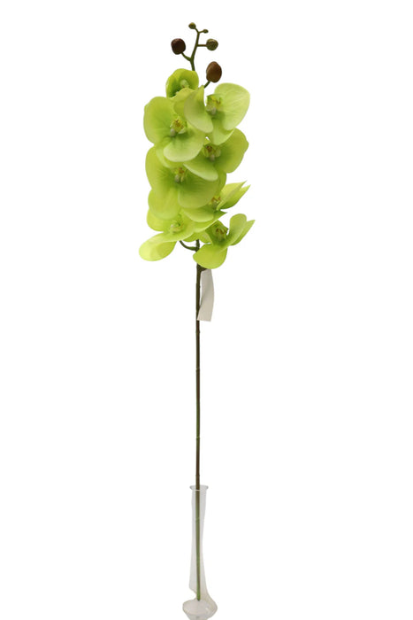 Real Touch Phalaenopsis Orchid - Green - 8 heads, 99cm long