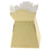 Pack of 30 Living Vases - Cream