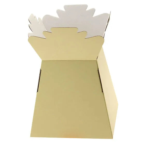 Pack of 30 Living Vases - Cream