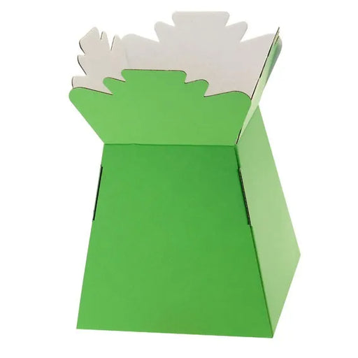 Pack of 30 Living Vases - Lime