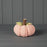 Pink Knitted Fabric Pumpkin H12 x D13cm