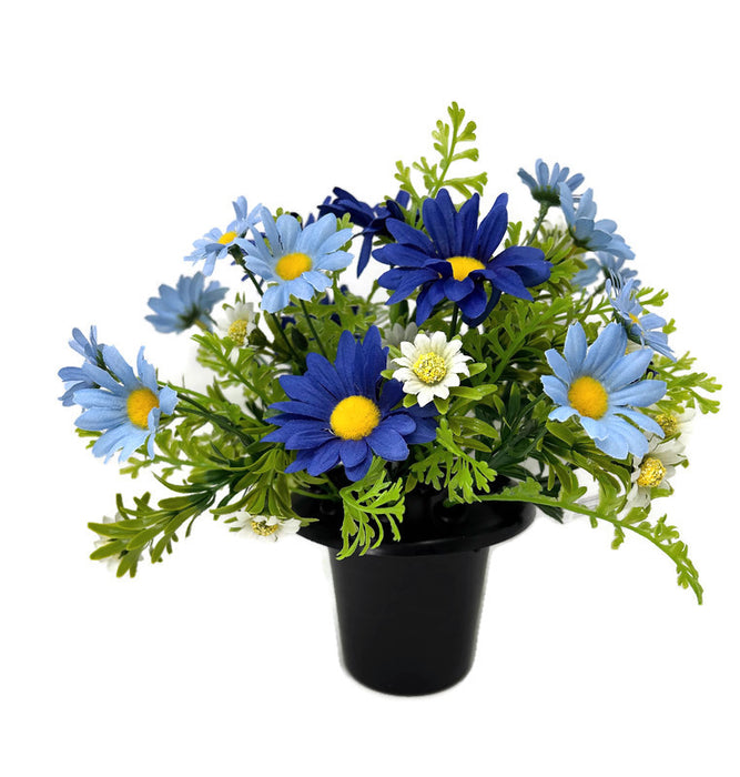 Pre-filled Mixed Daisy Grave Pot - Blue
