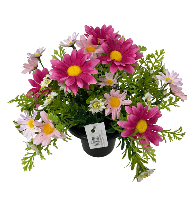 Pre-filled Mixed Daisy Grave Pot - Pink