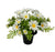 Pre-filled Mixed Daisy Grave Pot - White