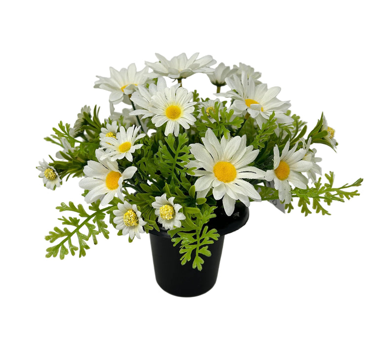 Pre-filled Mixed Daisy Grave Pot - White