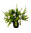 Pre-filled Ranunculus & Eucalyptus Grave Pot - Cream